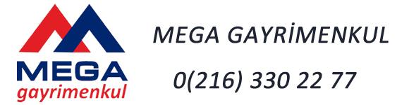 Get Adobe Flash player